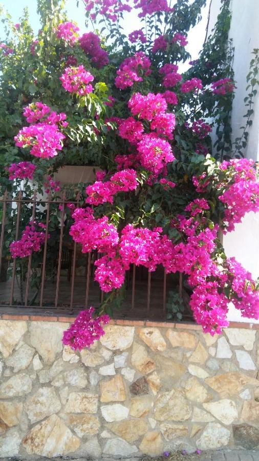 Maria Holiday home Cortegana