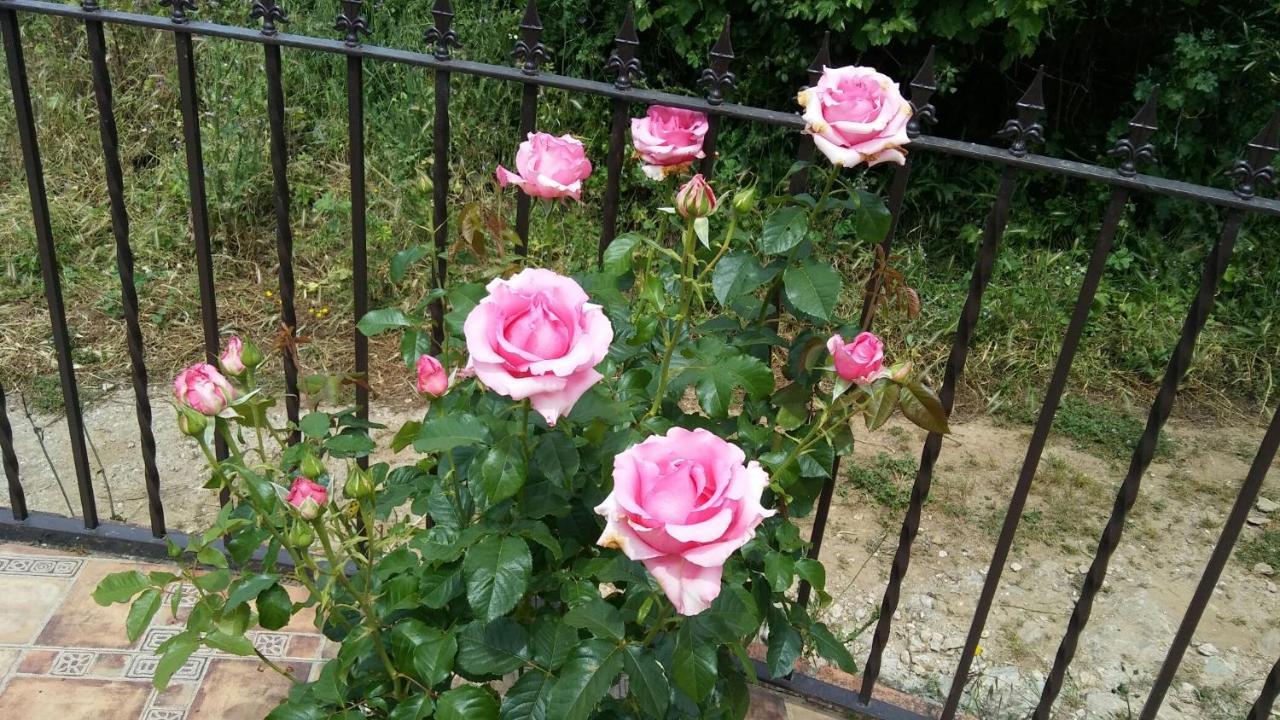 Holiday home Maria Cortegana