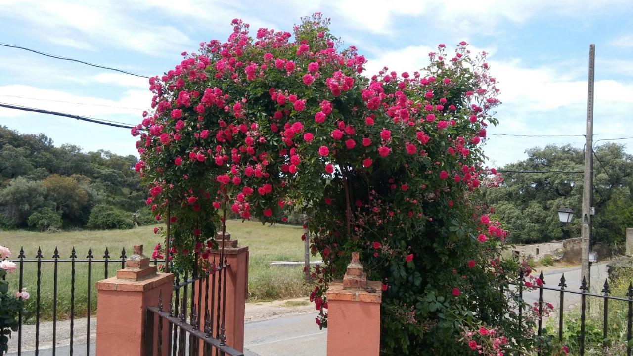 Ferienhaus Maria