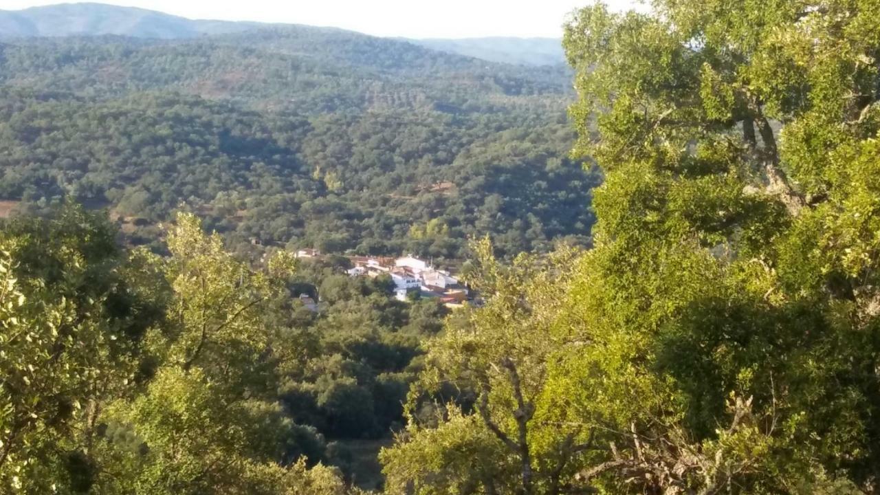 Ferienhaus Maria *